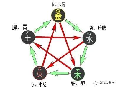 五行缺木工作|命中五行缺木的人怎么办 八字五行缺木怎么补